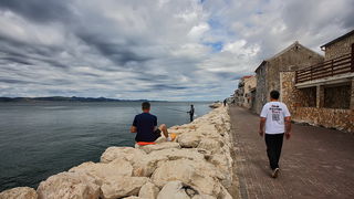 Labudovi u Bibinjama 12. svibnja 2013.  Foto: Roberto Lerga