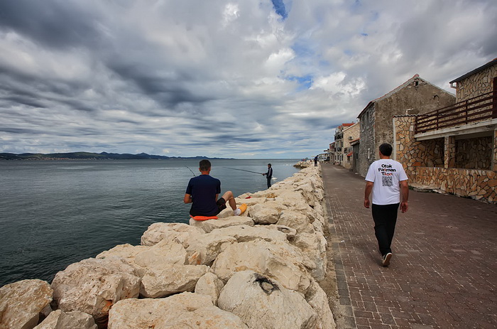 Labudovi u Bibinjama 12. svibnja 2013.  Foto: Roberto Lerga
