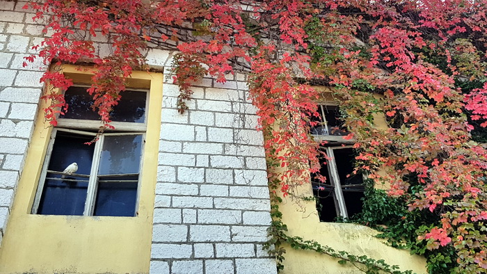 Boje zadarske jeseni. Foto: Mladen Malik