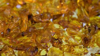 U Domu sportova odrzava se 18. Medjunarodni sajam dragog i poludragog kamenja – Mineral Expo Zagreb. Kao i svake godine razni medjunarodni izlagaci ponudili su posjetiteljima nakit i ukrasne predmete od dragog i poludragog kamenja, bisera i koralja, te ne U Domu sportova odrzava se 18. Medjunarodni sajam dragog i poludragog kamenja – Mineral Expo Zagreb. Kao i svake godine razni medjunarodni izlagaci ponudili su posjetiteljima nakit i ukrasne predmete od dragog i poludragog kamenja, bisera i koralja, te ne