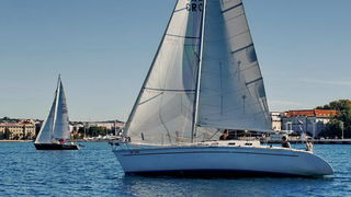 Regata Zadarska Koka 2015. Regata Zadarska Koka 2015.