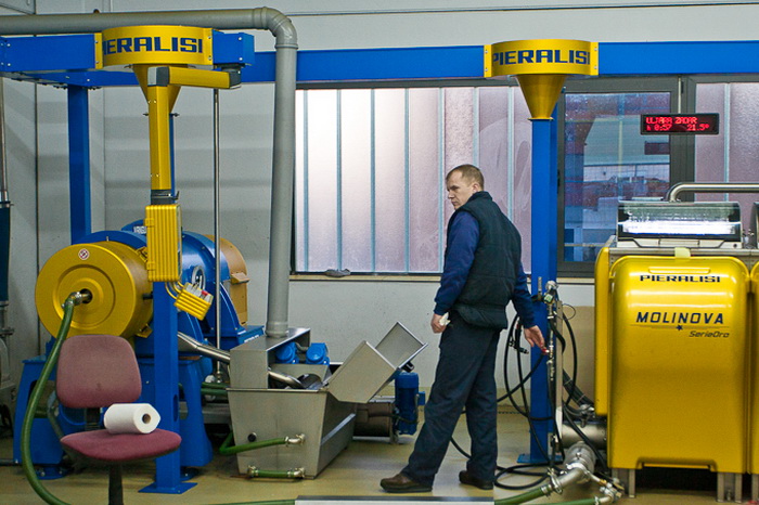 Put masline od stabla do djevicanskog ulja, Foto: Leo Banic Put masline od stabla do djevicanskog ulja, Foto: Leo Banic