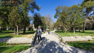 Đir po gradu 3. ožujka 2017.