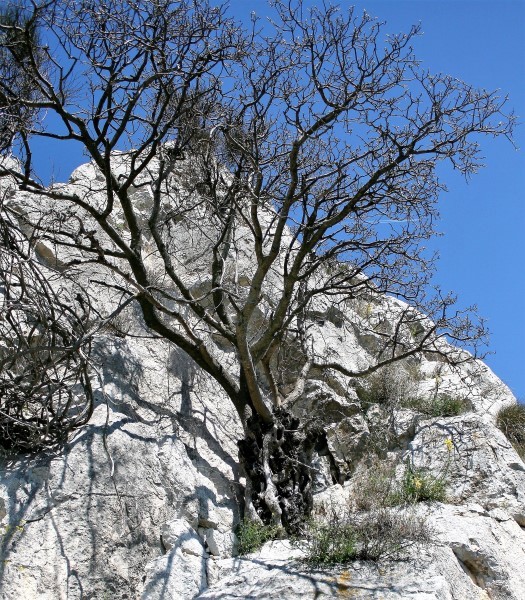 4. planinarski pohod “Hajdemo do Vrane” u organizaciji PD Belveder