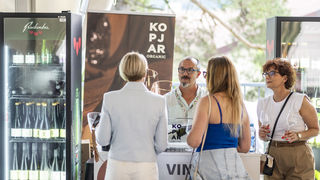 U Bedenici svečano otvoren prvi Eco-Wine Fest uz koncerte Vatre i Soul Fingersa