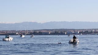 39. Plivački maraton Preko – Zadar, Foto: Edin Kadić 39. Plivački maraton Preko – Zadar, Foto: Edin Kadić