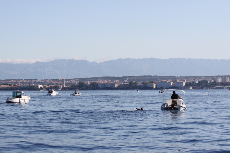 39. Plivački maraton Preko – Zadar, Foto: Edin Kadić 39. Plivački maraton Preko – Zadar, Foto: Edin Kadić