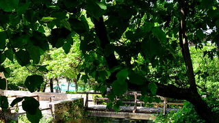 Đir do NP Krka. foto-Iva Perincic