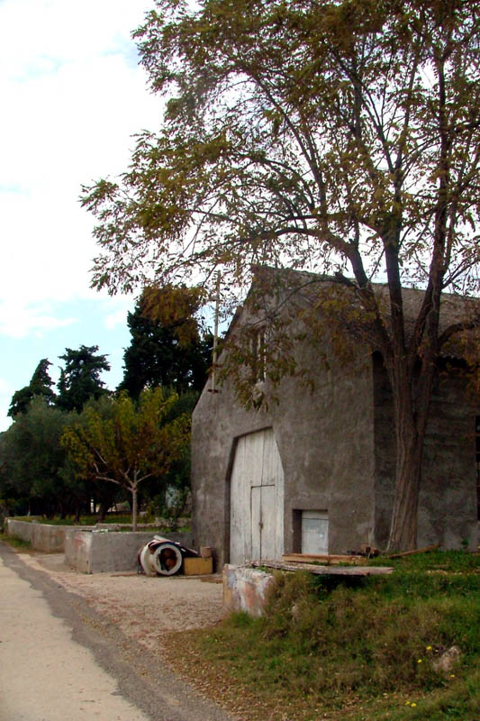 Image 1190439 (auto)