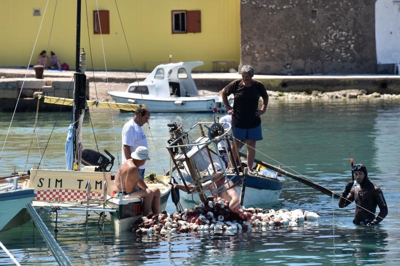 Ražančani saniraju štete nakon orkanske bure. Photo: Dino Stanin/PIXSELL