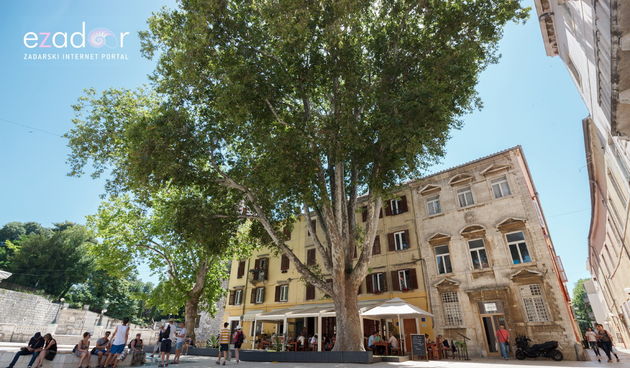 Đir po gradu, ponedjeljak 11. lipnja 2018.