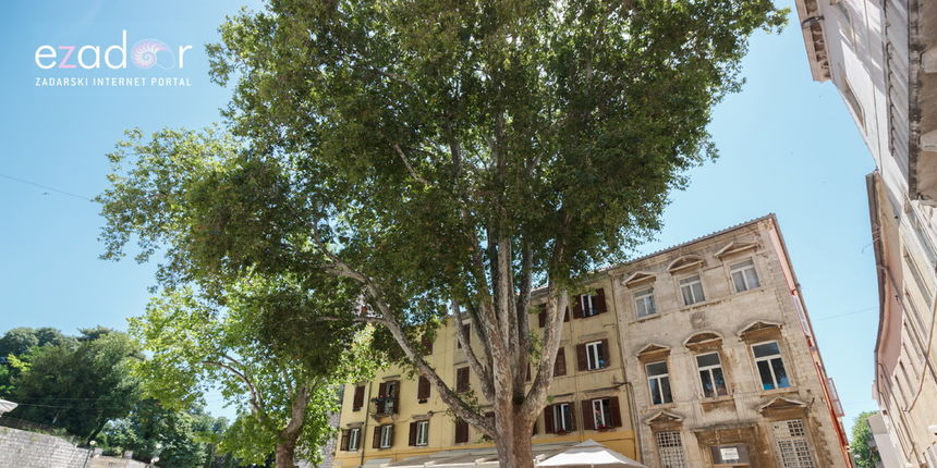 Đir po gradu, ponedjeljak 11. lipnja 2018. Đir po gradu, ponedjeljak 11. lipnja 2018.