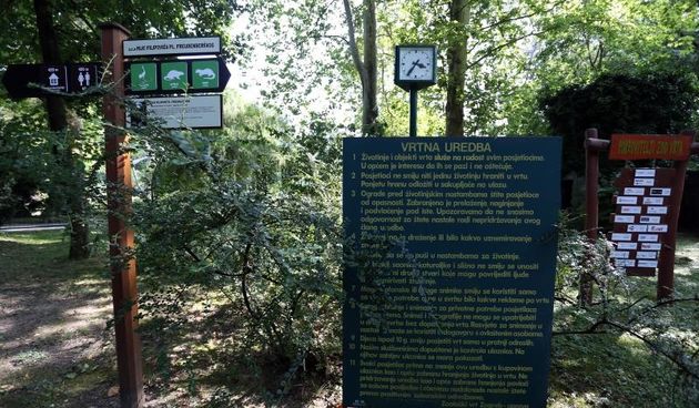 agreb – Nastamba zebri u zagrebackom Zooloskom vrtu. Photo: Borna Filic/PIXSELL