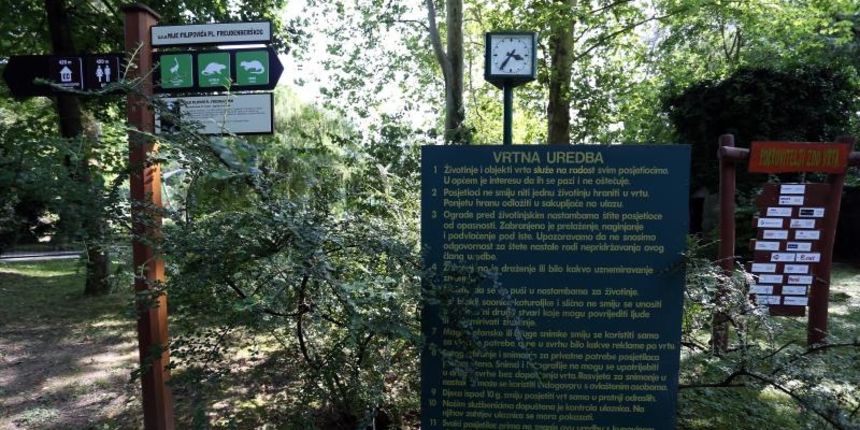 agreb – Nastamba zebri u zagrebackom Zooloskom vrtu. Photo: Borna Filic/PIXSELL agreb – Nastamba zebri u zagrebackom Zooloskom vrtu. Photo: Borna Filic/PIXSELL