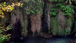 NP Plitvička jezera, listopad 2021.