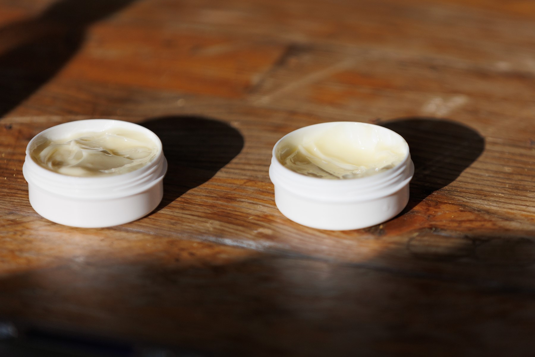 Noć tvrđava u Zadru – poslijepodnevni program