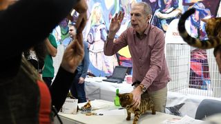 Međunarodna izložba mačaka