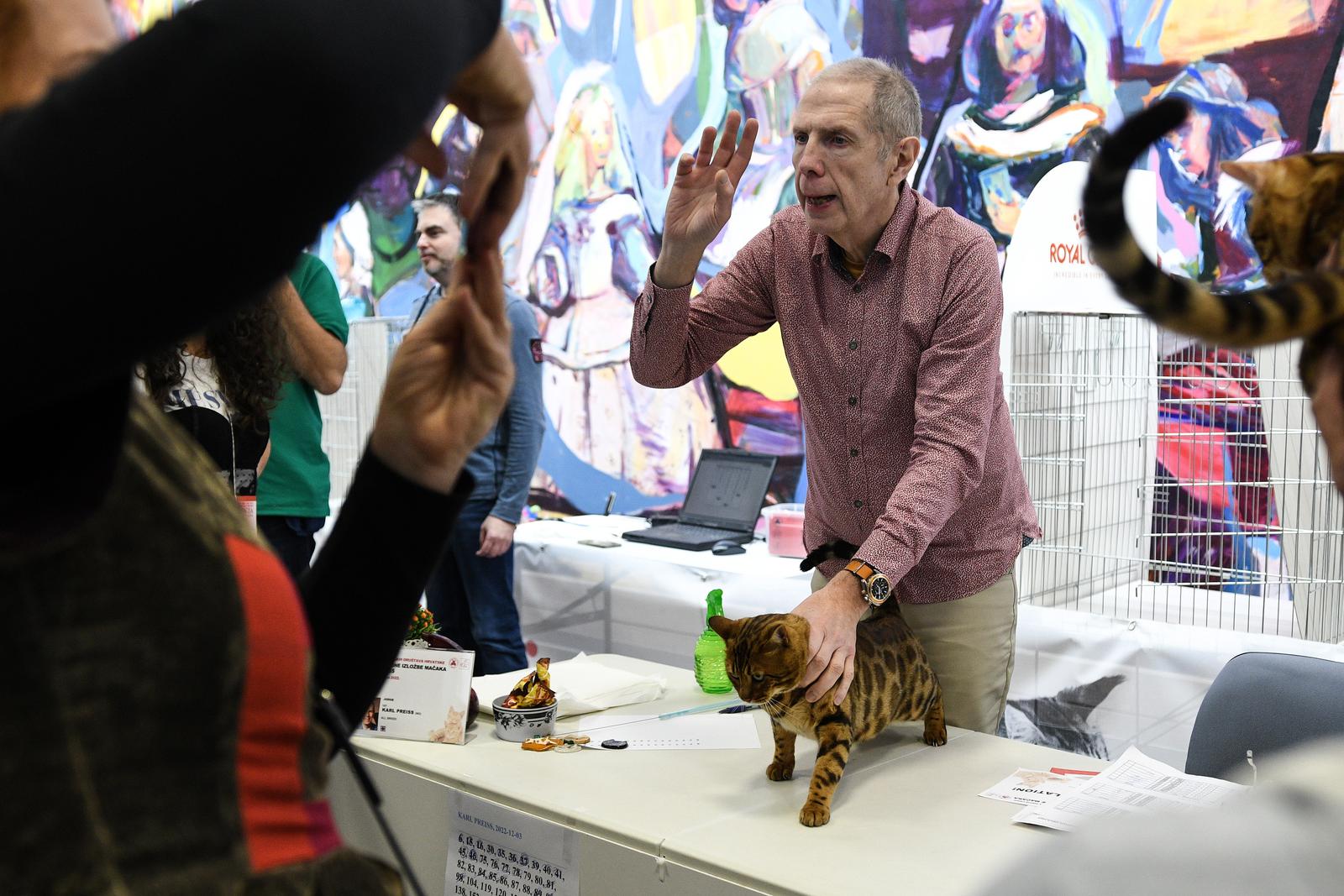 Međunarodna izložba mačaka