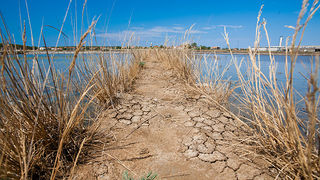Solana Nin, berba soli, foto: Leo Banić