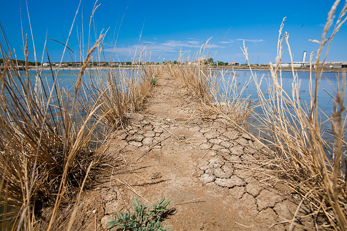 Solana Nin, berba soli, foto: Leo Banić