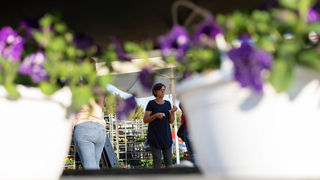 Benkovački sajam 09.06.2021