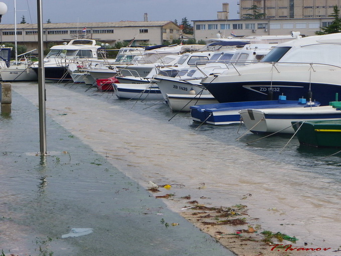 Plima u uvali Bregdetti, foto: T. Ivanov
