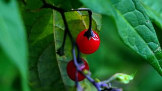 NP Plitvička jezera, listopad 2021.