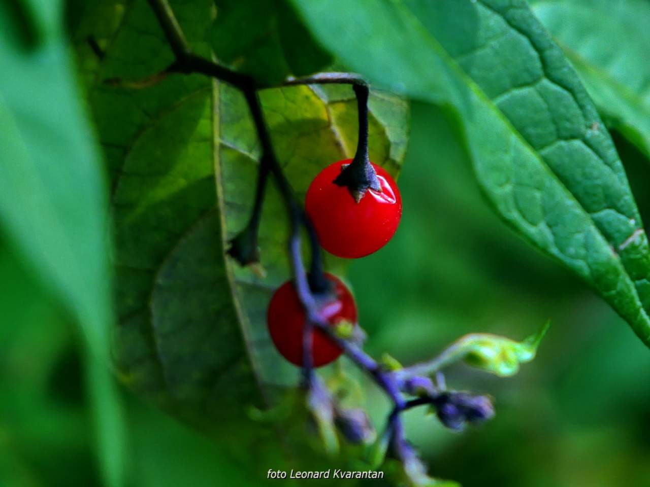 NP Plitvička jezera, listopad 2021.