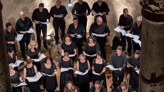 Program Audivi vocem: Vinko Jelić u crkvi Sv. Donata Program Audivi vocem: Vinko Jelić u crkvi Sv. Donata