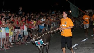 Tisno: 7. Međunarodna trka tovarov, Foto: Edin Kadić Tisno: 7. Međunarodna trka tovarov, Foto: Edin Kadić