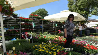 Svečano otvoren 18. Festival cvijeća Zadarske županije u Sv. Filip i Jakovu