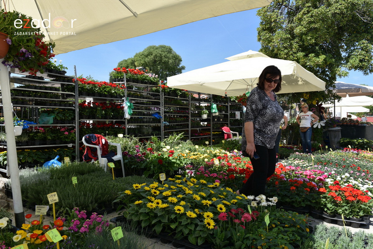 Svečano otvoren 18. Festival cvijeća Zadarske županije u Sv. Filip i Jakovu