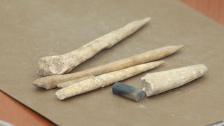 Zadar, 230610.
Na arheoloskom nalazistu u pecini Vlakno na Dugom otoku izmedju ostalih nakitnih predmeta pronadjen je i predmet ukrasen nizom kratkih paralelnih i dva vodoravna ureza za koje se sumnja da su umjetno izradjeni. Star oko 15 000 godina moze Zadar, 230610.
Na arheoloskom nalazistu u pecini Vlakno na Dugom otoku izmedju ostalih nakitnih predmeta pronadjen je i predmet ukrasen nizom kratkih paralelnih i dva vodoravna ureza za koje se sumnja da su umjetno izradjeni. Star oko 15 000 godina moze