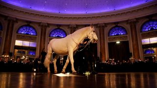 Modni spektakl Hippy Gardena