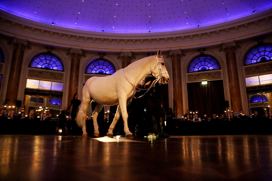 Modni spektakl Hippy Gardena