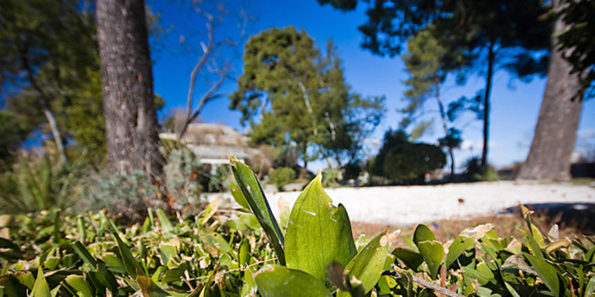 Đir zadarskim parkovima,27. veljače 2012. (foto:Saša Čuka) Đir zadarskim parkovima,27. veljače 2012. (foto:Saša Čuka)