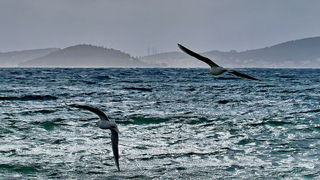Olujno jugo u Zadru, nedjelja 6. prosinca 2020. godine