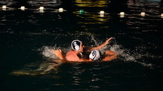 VAK”AN”ZA 31%, finale: Reptili – Nesvrstani 2-4 VAK”AN”ZA 31%, finale: Reptili – Nesvrstani 2-4