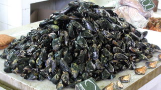 Image 1205445 (auto)