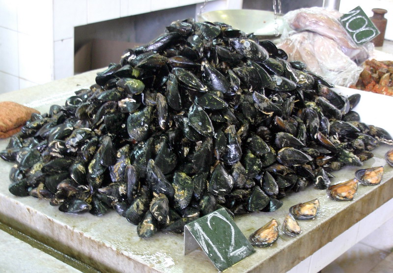 Image 1205445 (auto)