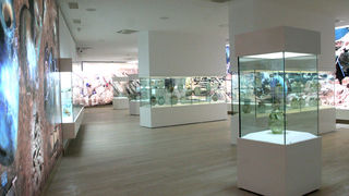 Muzej antičkog stakla (foto: Antonija Gospić)