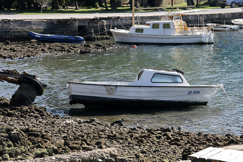 Oseka u Zadru more se povuklo nekih 50-ak cm
