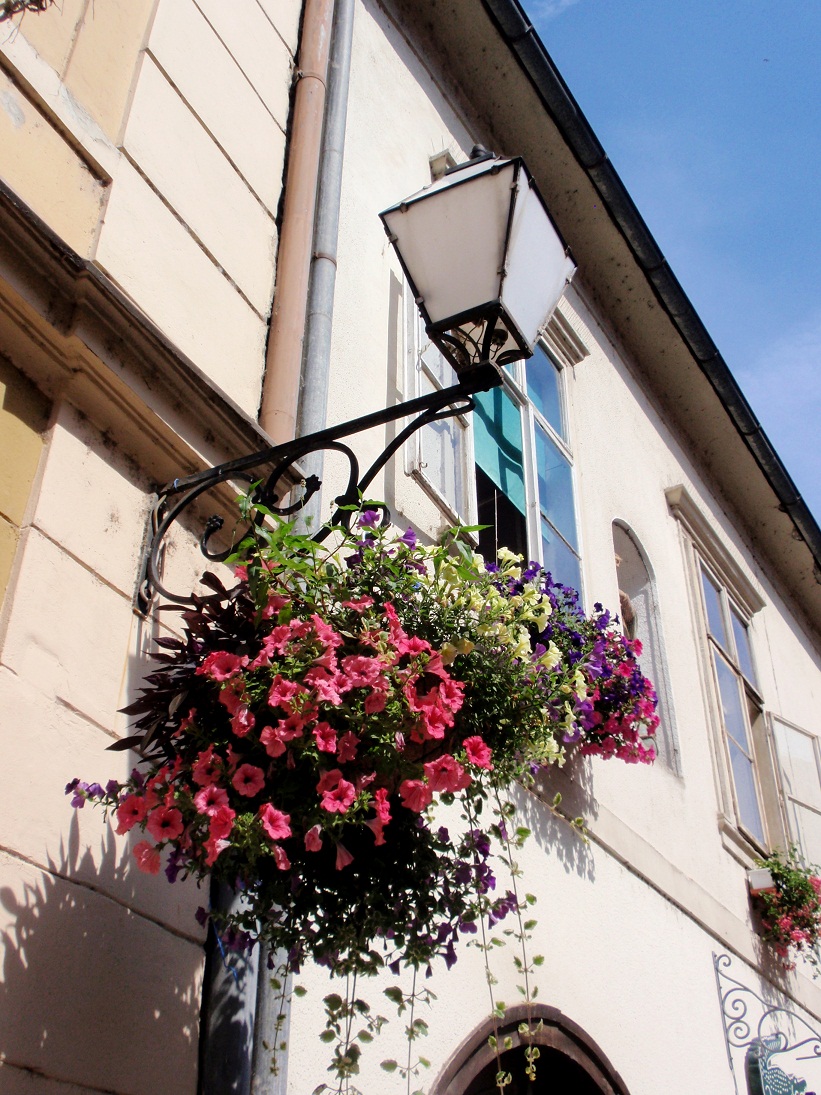 Razglednica iz Varaždina Razglednica iz Varaždina