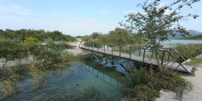 Prosika – Park prirode Vransko Jezero danas obiljezava 15.obljetnicu proglasenja parkom prirode Photo: Hrvoje Jelavic/PIXSELL