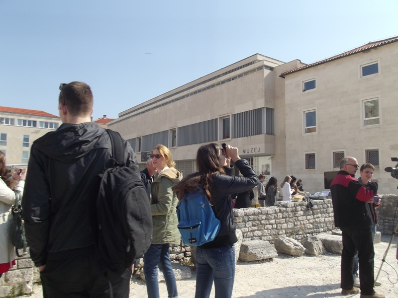 Promatranje pomrčine Sunca na Forumu Promatranje pomrčine Sunca na Forumu