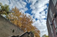 Zadarska šetnica s najlipšim pogledom u jesen je idealna za predah i “punjenje baterija” Zadarska šetnica s najlipšim pogledom u jesen je idealna za predah i “punjenje baterija”