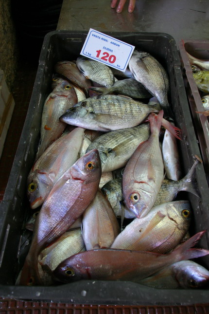 Image 1207681 (auto)