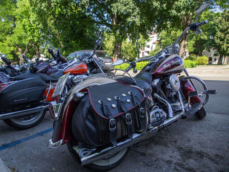 OLYMPUS DIGITAL CAMERA OLYMPUS DIGITAL CAMERA