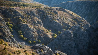Đir do kraških ljepotica Krupe i Zrmanje, Foto: Vinko Pešić Đir do kraških ljepotica Krupe i Zrmanje, Foto: Vinko Pešić