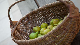 OPG Damjanić-Babac, foto: Darko Belančić OPG Damjanić-Babac, foto: Darko Belančić